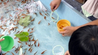 飼育の基本 もふっコリひょうたん島