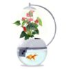 植物と魚でオフィスに“うるおい”を--スマホ連携プランター＆金魚鉢 - CNET Japan